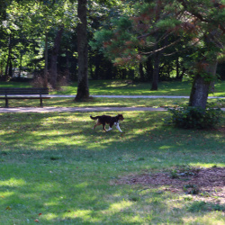 Parc Charruyer 10/09/2024