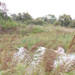 Photos de l'été 2024