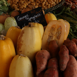 Marché de La Rochelle 21/01/2025