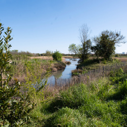 Port des Minimes 02/04/2025